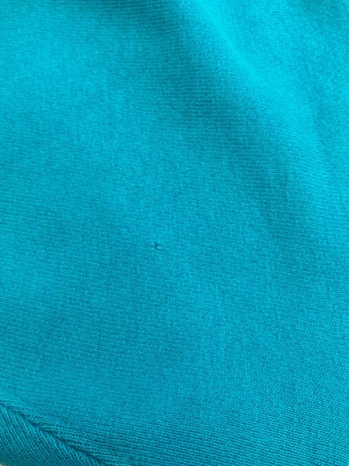 Champion REVERSE WEAVE（チャンピオン リバース ウィーブ）Champion REVERSE WEAVE (チャンピオン リバース ウィーブ) ［古着］クルーネックスウェット スカイブルー サイズ:XLの古着・服飾アイテム