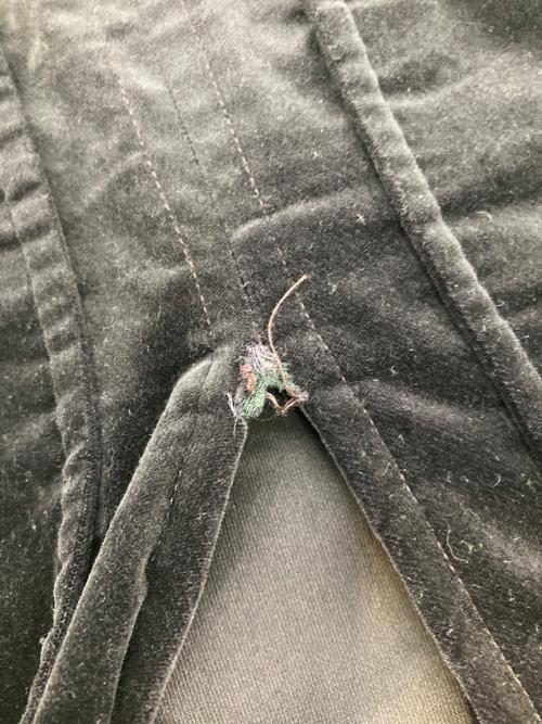 GUCCI（グッチ）GUCCI (グッチ) ベルベットタイトスカート ブラック サイズ:40の古着・服飾アイテム