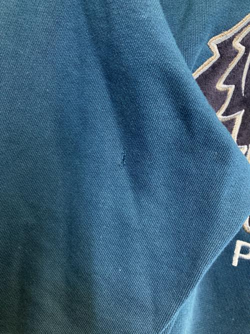 KENZO（ケンゾー）KENZO (ケンゾー) Metallic Logo Tiger Hoodie ブルー サイズ:Ｍの古着・服飾アイテム