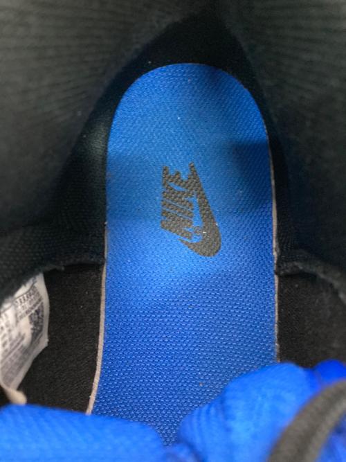 NIKE（ナイキ）NIKE (ナイキ) DUNK HI RETRO SE ブラック×ブルー サイズ:US8.5の古着・服飾アイテム