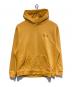 JORDAN（ジョーダン）の古着「Future is Now FLC Hoodie 