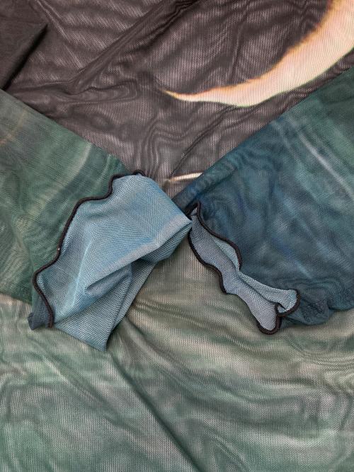 sahara（サハラ）sahara (サハラ) High Neck Sheer Top グリーン×ブラック サイズ:Freeの古着・服飾アイテム