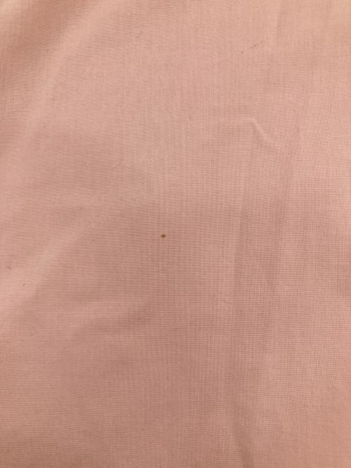 Patagonia（パタゴニア）Patagonia (パタゴニア) Go To Shirt ピンク サイズ:Sの古着・服飾アイテム