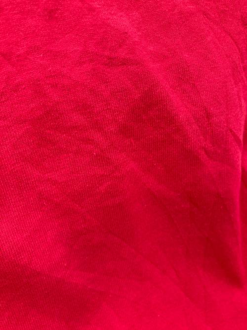 Champion（チャンピオン）Champion (チャンピオン) ［古着］ロゴ刺繍Tシャツ レッド サイズ:Lの古着・服飾アイテム