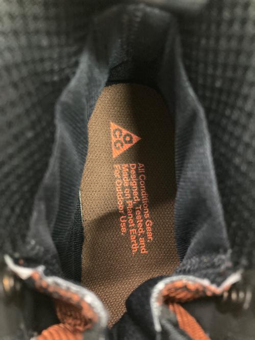 NIKE ACG（ナイキエーシージー）NIKE ACG (ナイキエーシージー) AIR ZOOM GAIADOME GTX ブラウン サイズ:US8の古着・服飾アイテム