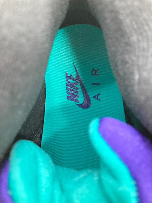 NIKE（ナイキ）NIKE (ナイキ) AIR JORDAN 5 RETRO OG ホワイト サイズ:US10の古着・服飾アイテム