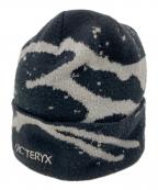 ARC'TERYXアークテリクス）の古着「GROTTO TOQUE」｜ブラック×グレー