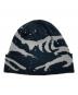 中古・古着 ARC'TERYX (アークテリクス) GROTTO TOQUE ブラック×グレー：7000円