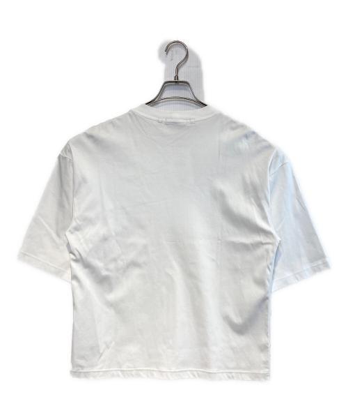 DRESSTERIOR（ドレステリア）DRESSTERIOR (ドレステリア) ICE CLEAR COTTON Tシャツ ホワイト サイズ:Sの古着・服飾アイテム