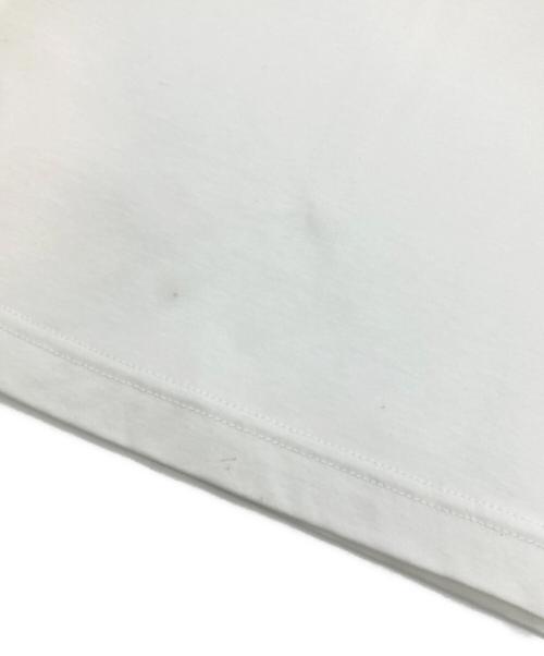 DRESSTERIOR（ドレステリア）DRESSTERIOR (ドレステリア) ICE CLEAR COTTON Tシャツ ホワイト サイズ:Sの古着・服飾アイテム
