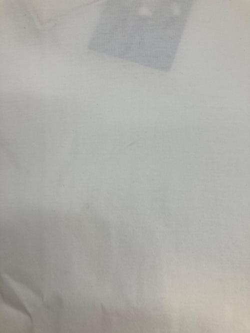 DRESSTERIOR（ドレステリア）DRESSTERIOR (ドレステリア) ICE CLEAR COTTON Tシャツ ホワイト サイズ:Sの古着・服飾アイテム