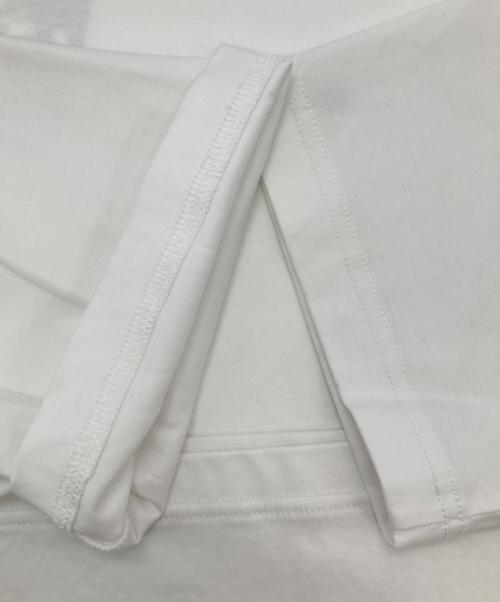 DRESSTERIOR（ドレステリア）DRESSTERIOR (ドレステリア) ICE CLEAR COTTON Tシャツ ホワイト サイズ:Sの古着・服飾アイテム