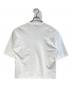DRESSTERIOR (ドレステリア) ICE CLEAR COTTON Tシャツ ホワイト サイズ:S：6000円