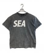 WIND AND SEAウィンダンシー）の古着「CRACK P DYE TEE」｜チャコールグレー