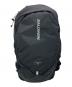 SALOMON（サロモン）の古着「TRAILBLAZER 20」｜ブラック