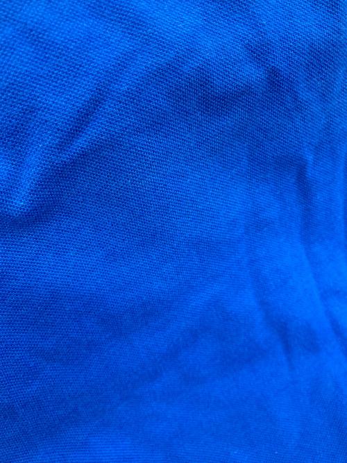 RAF SIMONS（ラフシモンズ）RAF SIMONS (ラフシモンズ) FRED PERRY (フレッドペリー) ロゴ刺繍ポロシャツ ブルー サイズ:38の古着・服飾アイテム