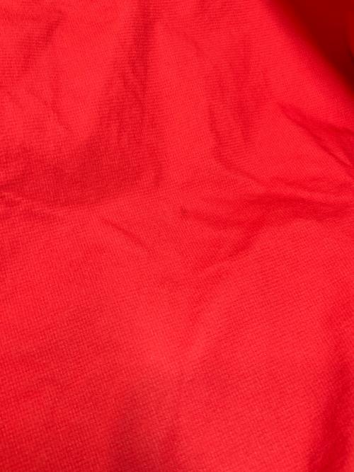 THE NORTH FACE（ザ ノース フェイス）THE NORTH FACE (ザ ノース フェイス) RAINTEX Plasmaセットアップ レッド×ブラック サイズ:Lの古着・服飾アイテム