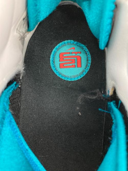 NIKE（ナイキ）NIKE (ナイキ) LEBRON 7 QS ブラック×ブルー サイズ:US10の古着・服飾アイテム