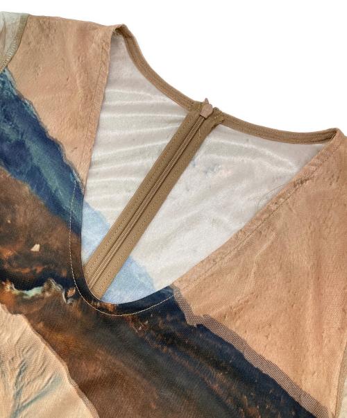sahara（サハラ）sahara (サハラ) Nature Print Layered Dress ベージュ×ブルー サイズ:Freeの古着・服飾アイテム