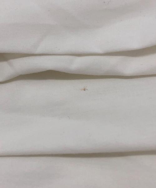 styling/（スタイリング）styling/ (スタイリング) プリーツヘムシャツワンピース ホワイト サイズ:SIZE 0の古着・服飾アイテム