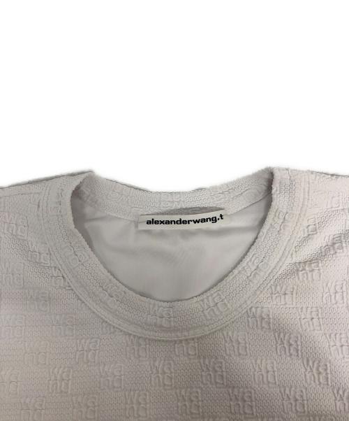 ALEXANDER WANG（アレキサンダー・ワン）ALEXANDER WANG (アレキサンダーワン) ジャガードミニワンピース ホワイト サイズ:ｓの古着・服飾アイテム