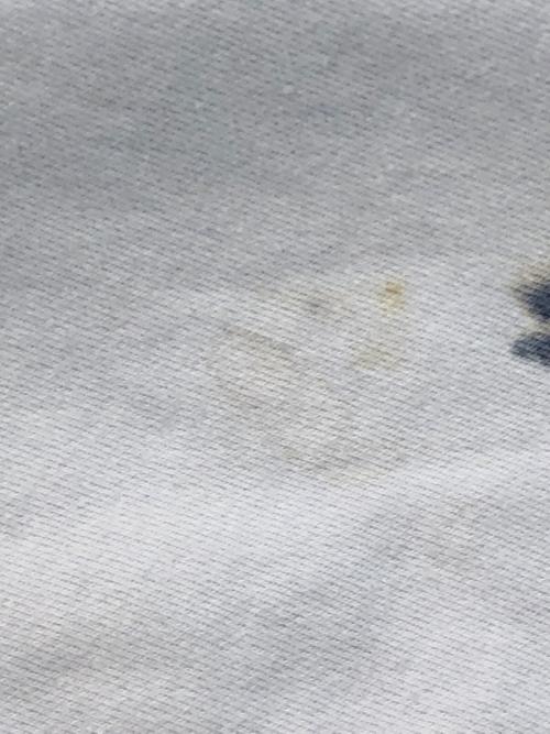 Champion REVERSE WEAVE（チャンピオン リバース ウィーブ）Champion REVERSE WEAVE (チャンピオン リバース ウィーブ) 00'sタイダイスウェット ブルー サイズ:Mの古着・服飾アイテム