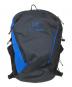 ARC'TERYX（アークテリクス）の古着「別注マンティス26Lリュック」｜ネイビー