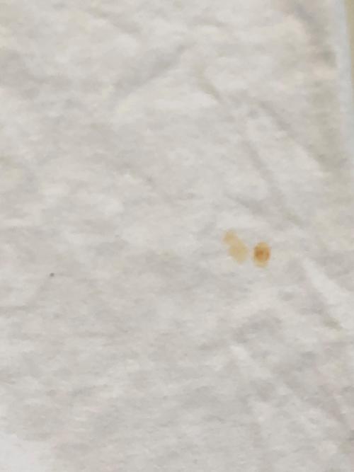 SUPREME（シュプリーム）Supreme (シュプリーム) フューチュラボックスロゴTee ホワイト サイズ:Mの古着・服飾アイテム