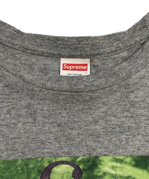 SUPREME（シュプリーム）Supreme (シュプリーム) プリントTシャツ グレー サイズ:SIZE XLの古着・服飾アイテム