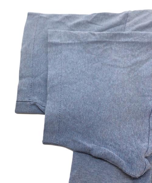 stussy（ステューシー）stussy (ステューシー) プリントTシャツ ブルー サイズ:SIZE Lの古着・服飾アイテム