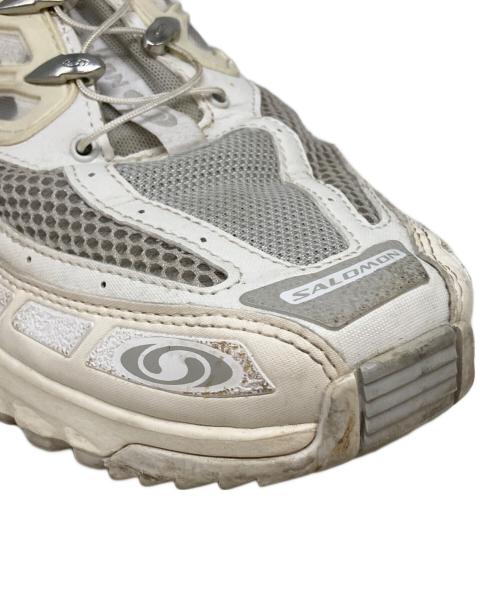 SALOMON（サロモン）SALOMON (サロモン) ローカットスニーカー ベージュ サイズ:SIZE 29cmの古着・服飾アイテム