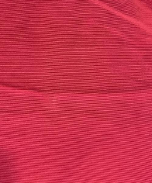 POLEWARDS（ポールワーズ）POLEWARDS (ポールワーズ) 60/40クロス ダウンジャケット レッド サイズ:SIZE Lの古着・服飾アイテム