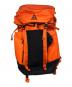 NIKE ACG（ナイキエーシージー）の古着「36 Backpack」｜オレンジ