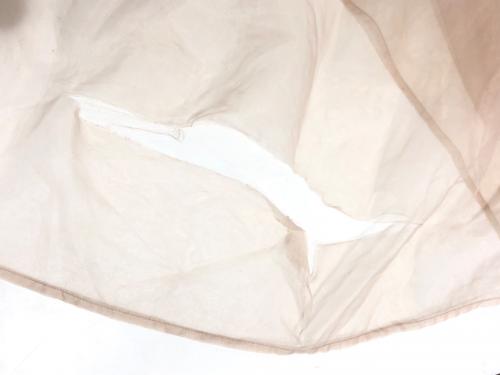 perna（ペルナ）perna (ペルナ) オーガンジーレイヤードワンピース ベージュ サイズ:SIZE Freeの古着・服飾アイテム