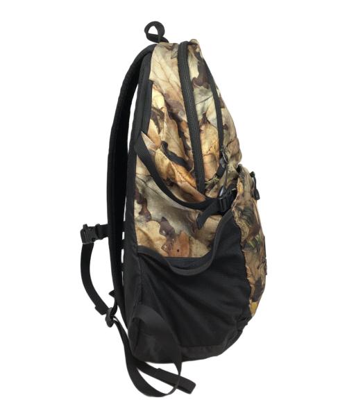 THE NORTH FACE（ザ ノース フェイス）THE NORTH FACE (ザ ノース フェイス) Supreme (シュプリーム) Pocono Backpack ベージュの古着・服飾アイテム