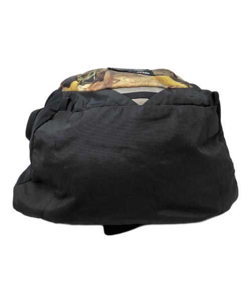 THE NORTH FACE（ザ ノース フェイス）THE NORTH FACE (ザ ノース フェイス) Supreme (シュプリーム) Pocono Backpack ベージュの古着・服飾アイテム