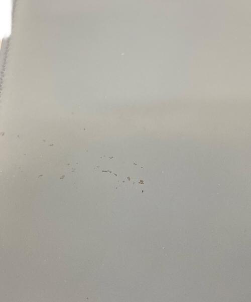 Roger Vivier（ロジェ ヴィヴィエ）Roger Vivier (ロジェ ヴィヴィエ) ショルダーバッグ ブルーの古着・服飾アイテム