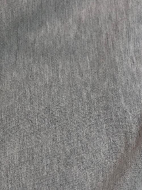 Champion（チャンピオン）Champion (チャンピオン) リバースウィーブスウェット グレー サイズ:SIZE XLの古着・服飾アイテム