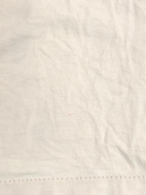 stussy（ステューシー）STUSSY (ステューシー) プリントTシャツ ベージュ サイズ:SIZE Mの古着・服飾アイテム