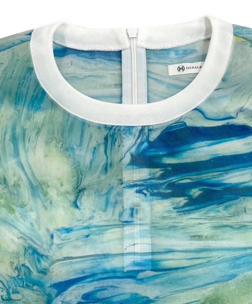 HERALBONY（ヘラルボニー）HERALBONY (ヘラルボニー) シアーラッセルTシャツ「ノースウエスト航空」 ブルー サイズ:SIZE Freeの古着・服飾アイテム