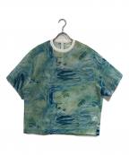 HERALBONYヘラルボニー）の古着「シアーラッセルTシャツ「ノースウエスト航空」」｜スカイブルー