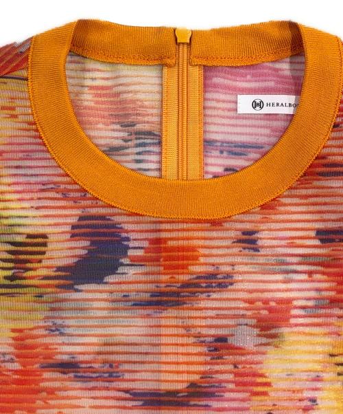 HERALBONY（ヘラルボニー）HERALBONY (ヘラルボニー) シアーラッセルTシャツ「タイトル不明」 オレンジ サイズ:SIZE Freeの古着・服飾アイテム