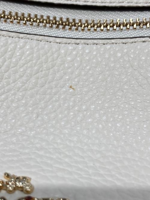 COACH（コーチ）COACH (コーチ) チャーリー ペブルドレザー ミニ リュックサック ホワイトの古着・服飾アイテム