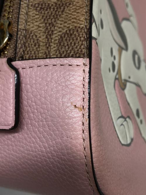 COACH（コーチ）COACH (コーチ) Disney (ディズニー) コラボショルダーバッグ ピンク×ブラウンの古着・服飾アイテム