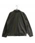 stussy (ステューシー) IRIDESCENT JACKET グレー サイズ:SIZE S：12000円