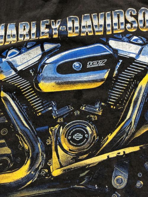 HARLEY-DAVIDSON（ハーレーダビッドソン）HARLEY-DAVIDSON (ハーレーダビッドソン) 3DエンジンプリントロングスリーブTシャツ ブラック サイズ:SIZE 2XLの古着・服飾アイテム