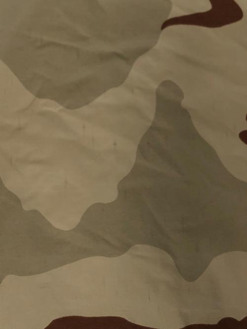 US ARMY（ユーエスアーミー）US ARMY (ユーエスアーミー) DESERT CAMO ECWCS PARKA ベージュ×ブラウン サイズ:SIZE Mの古着・服飾アイテム