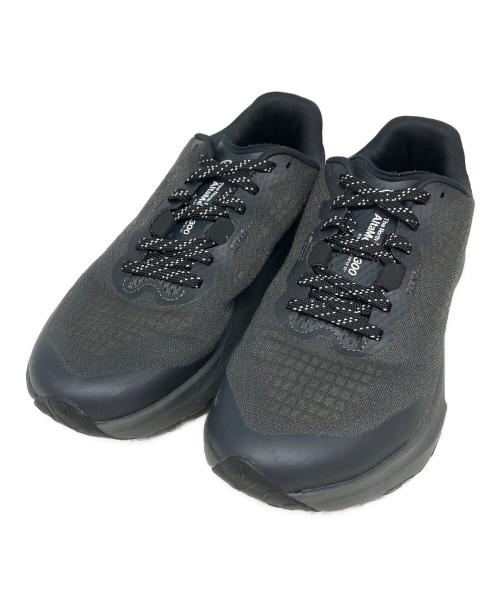 THE NORTH FACE（ザ ノース フェイス）THE NORTH FACE (ザ ノース フェイス) Altamesa 300 トレイルランニングシューズ ブラック サイズ:25の古着・服飾アイテム