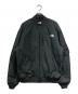 THE NORTH FACE（ザ ノース フェイス）の古着「インサレーションボンバージャケット」｜グレー