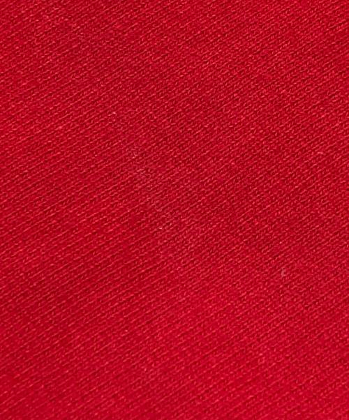 SUPREME（シュプリーム）SUPREME (シュプリーム) サテン アップリケ フーディー スウェットシャツ レッド サイズ:SIZE Sの古着・服飾アイテム